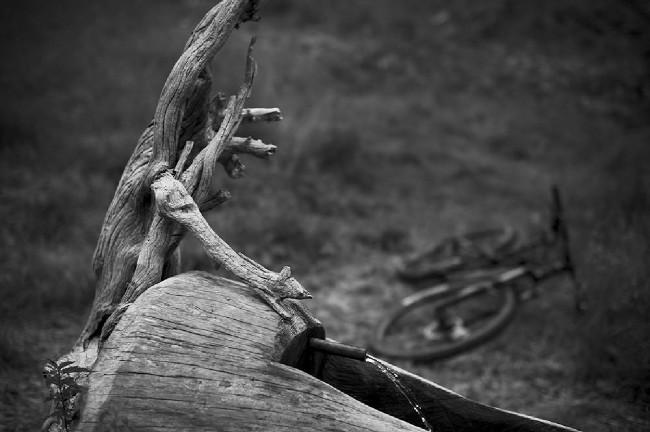 Dolimiti trip Cortina