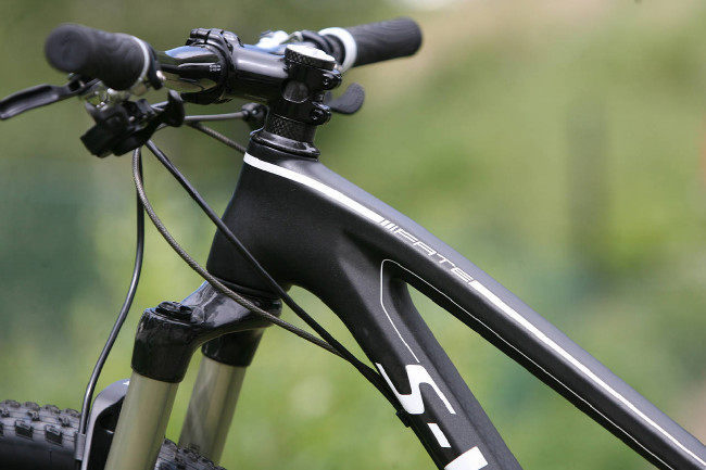 Fate S-Works Carbon 29