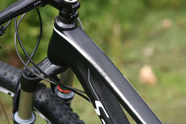 Fate S-Works Carbon 29