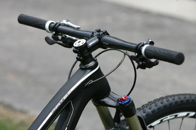 Fate S-Works Carbon 29