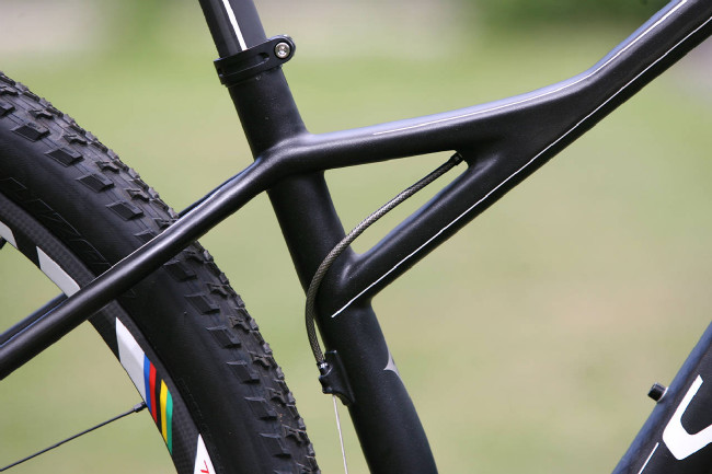 Fate S-Works Carbon 29