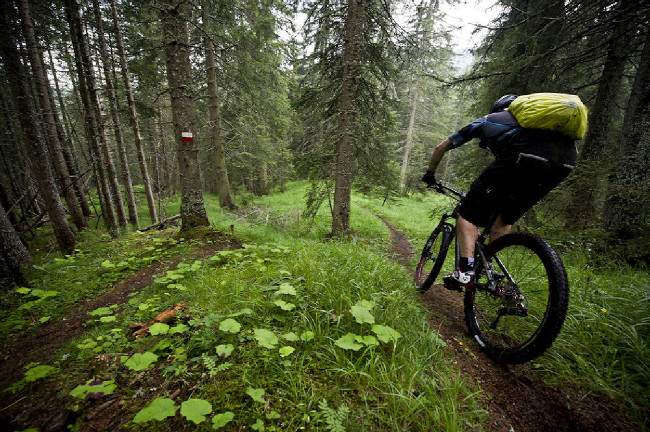 Dolimiti trip Cortina