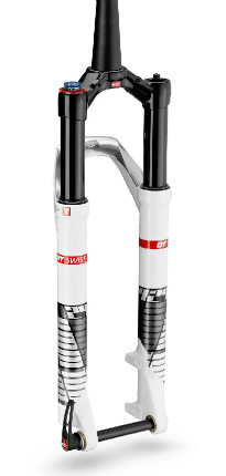 DT Swiss 2013 XMM 100 29 QR15