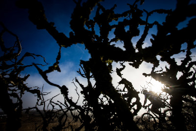 ABSA Cape Epic 2013 1/2