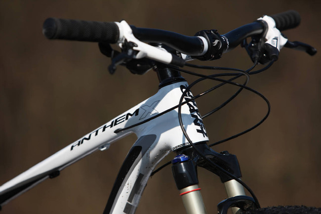 Giant AnthemX Advanced 29er 2