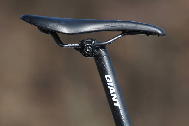 Giant AnthemX Advanced 29er 2