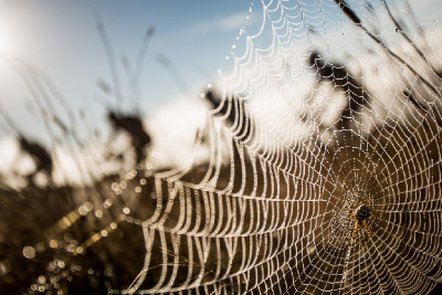 ABSA Cape Epic 2013 1/2