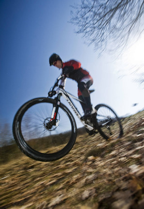 Giant AnthemX Advanced 29er 2