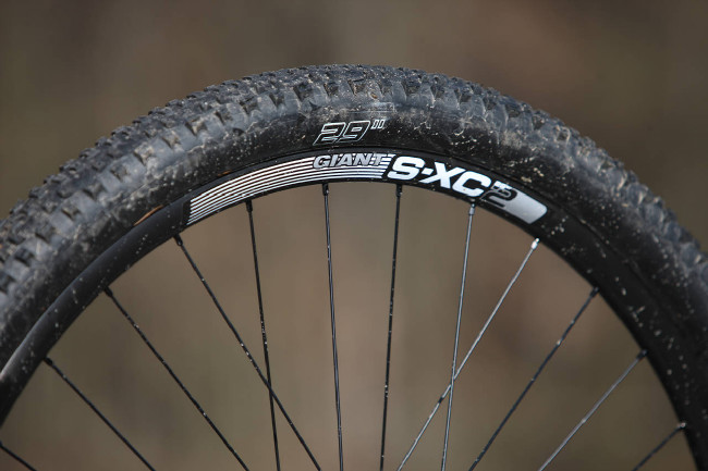 Giant AnthemX Advanced 29er 2