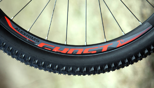 Ghost HTX Lector 20th