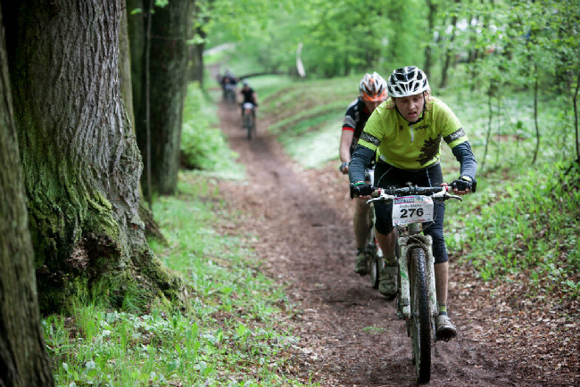 lipová álej pod hradem