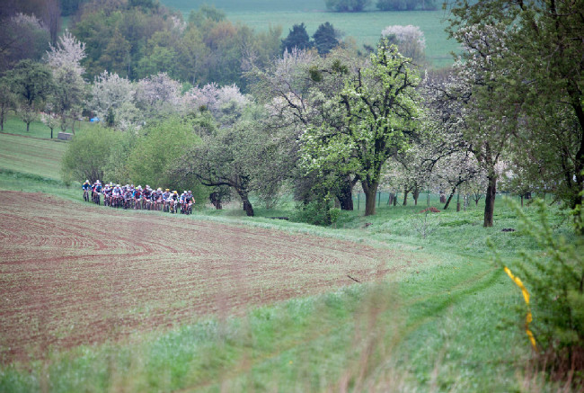 první dělení na skupinky