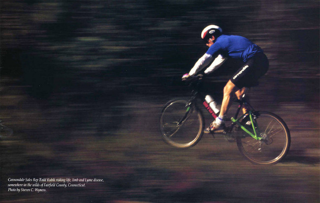 Cannondale Delta V 2000 - 1993