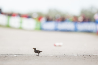 Vogel první v cíli