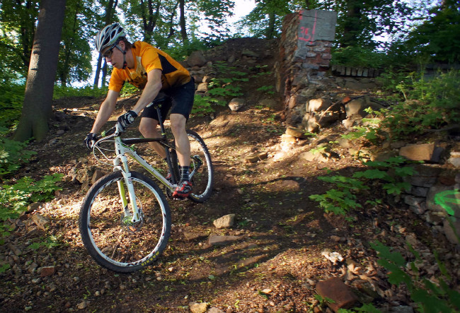 GT Zaskar 29 Expert Carbon