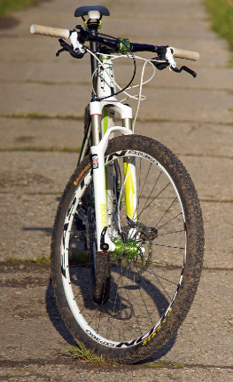 GT Zaskar 29 Expert Carbon