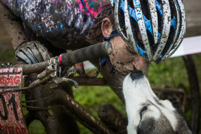 Jitka Škarnitzlová