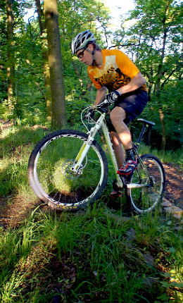 GT Zaskar 29 Expert Carbon