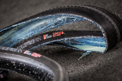 přípravy v týmu české reprezentace