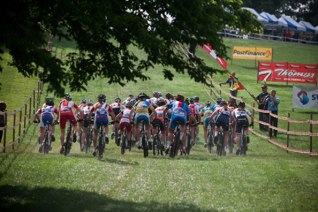 start juniorek v nasáklé louce