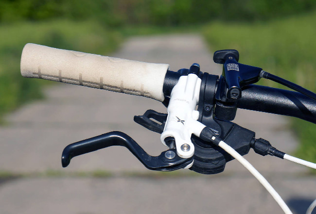 GT Zaskar 29 Expert Carbon