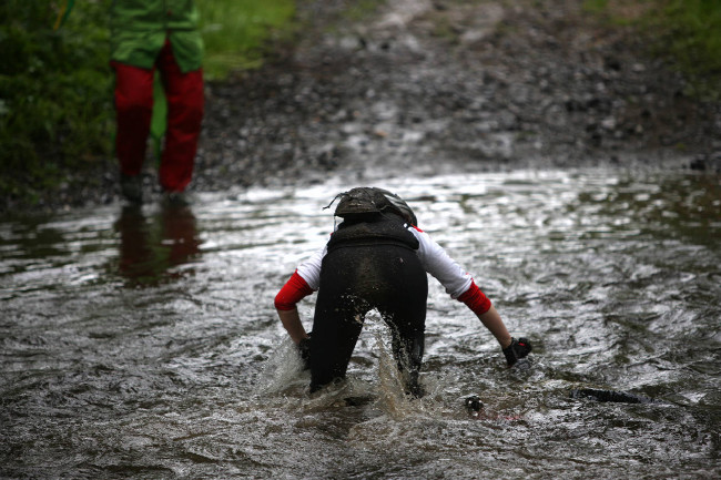 Král Šumavy 2013 kde mám kolo?