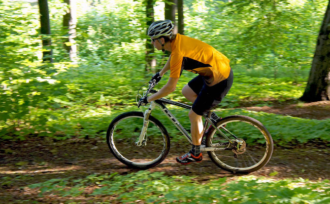 GT Zaskar 29 Expert Carbon