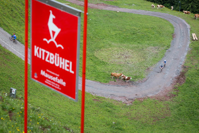 Mistrovství světa v maratonu 2013 - Kirchberg