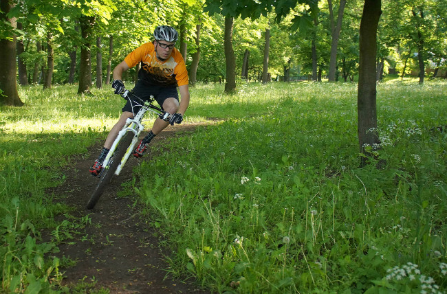 GT Zaskar 29 Expert Carbon