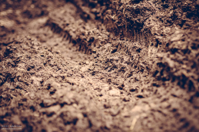 MČR DH 2014 Špindlerův Mlýn