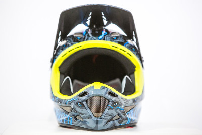 Specialized Dissident