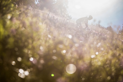 ráno v Bedřichově