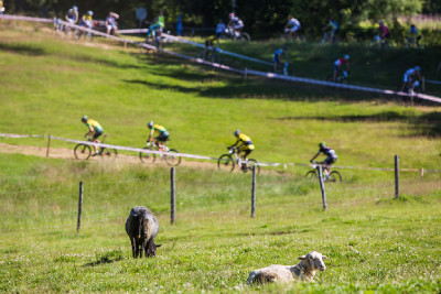 Mistrovství ČR XCO 2013 - Bedřichov