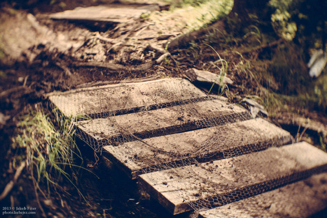 MČR DH 2014 Špindlerův Mlýn