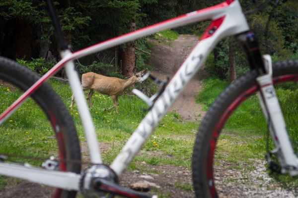 Stumpjumper HT S-Works středem zájmu