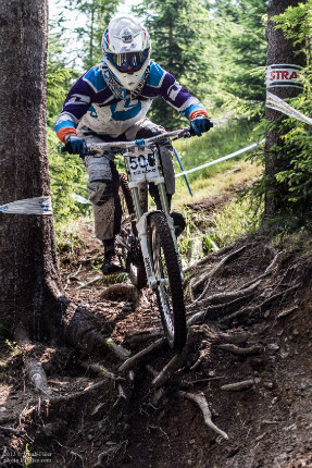 MČR DH 2014 Špindlerův Mlýn