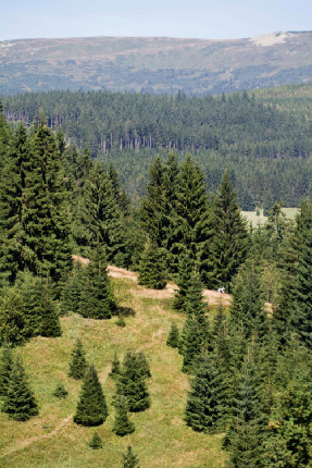 Krásný den v Krkonoších