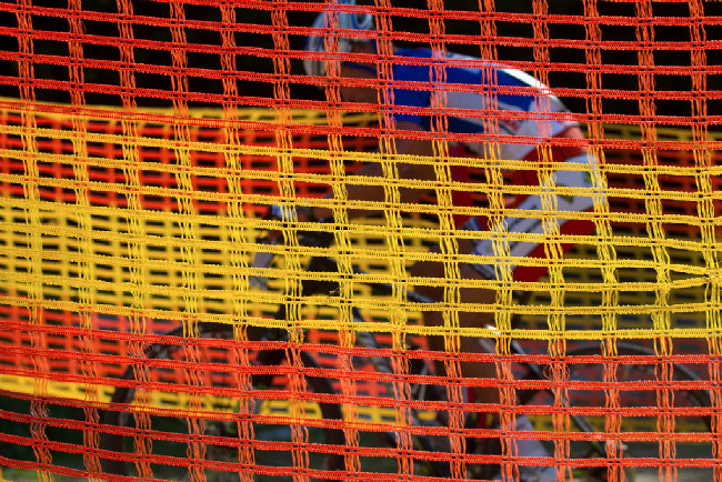 Filip si klestí cestu k cíli