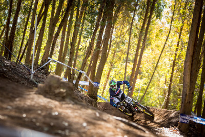 Mistrovství světa DH 2013