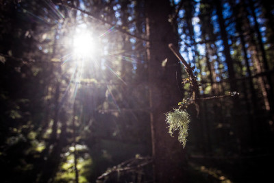 Světový pohár DH #5 2013 - Hafjell