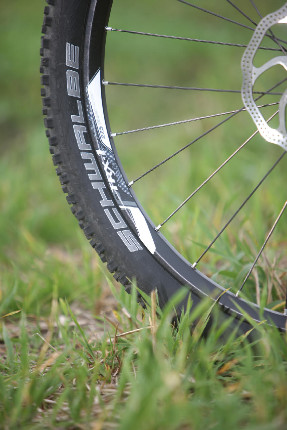 Giant Trance Advanced/SX