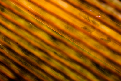 Světový pohár v cyklokrosu #2 - Tábor