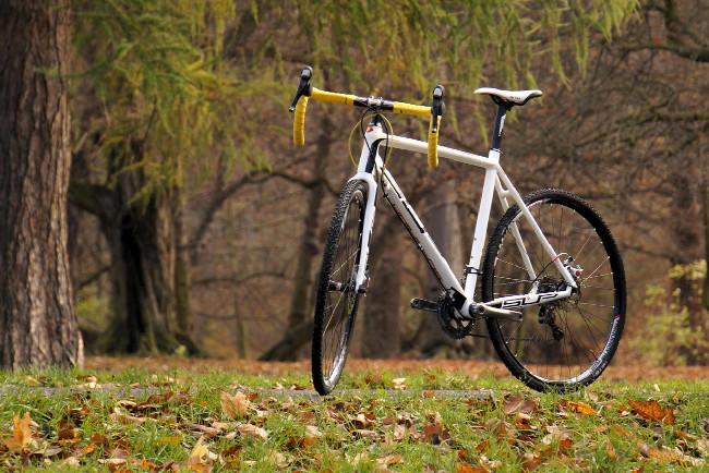 Superior XP Cyclocross Elite Disc