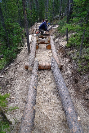 Tom Pro - Čech, který dal Whistleru traily