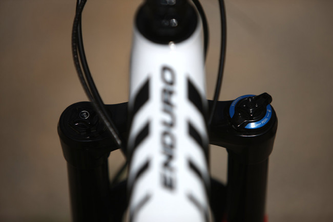 Specialized SWORKS Enduro 29