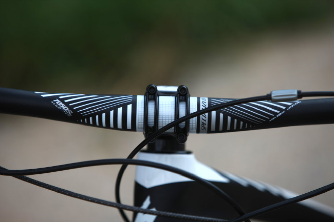 Specialized SWORKS Enduro 29