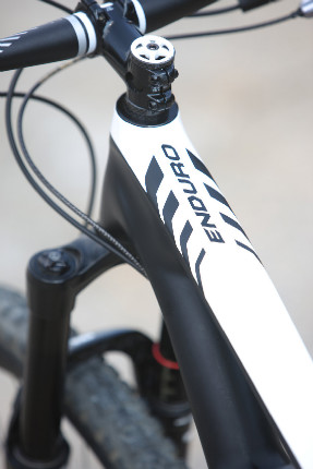 Specialized SWORKS Enduro 29