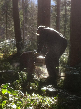 Tom Pro - Čech, který dal Whistleru traily