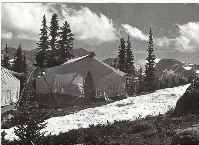 Tom Pro - Čech, který dal Whistleru traily