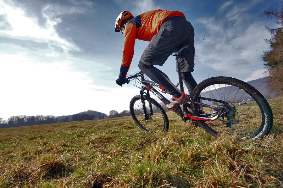 4Ever Virus SXC1 27,5"